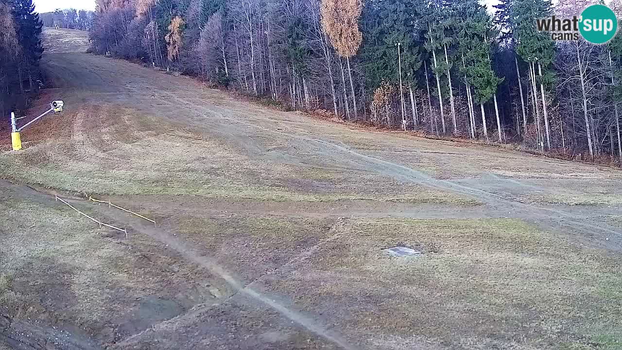 Webcam Pohorje Trikotna Jasa | Poštela