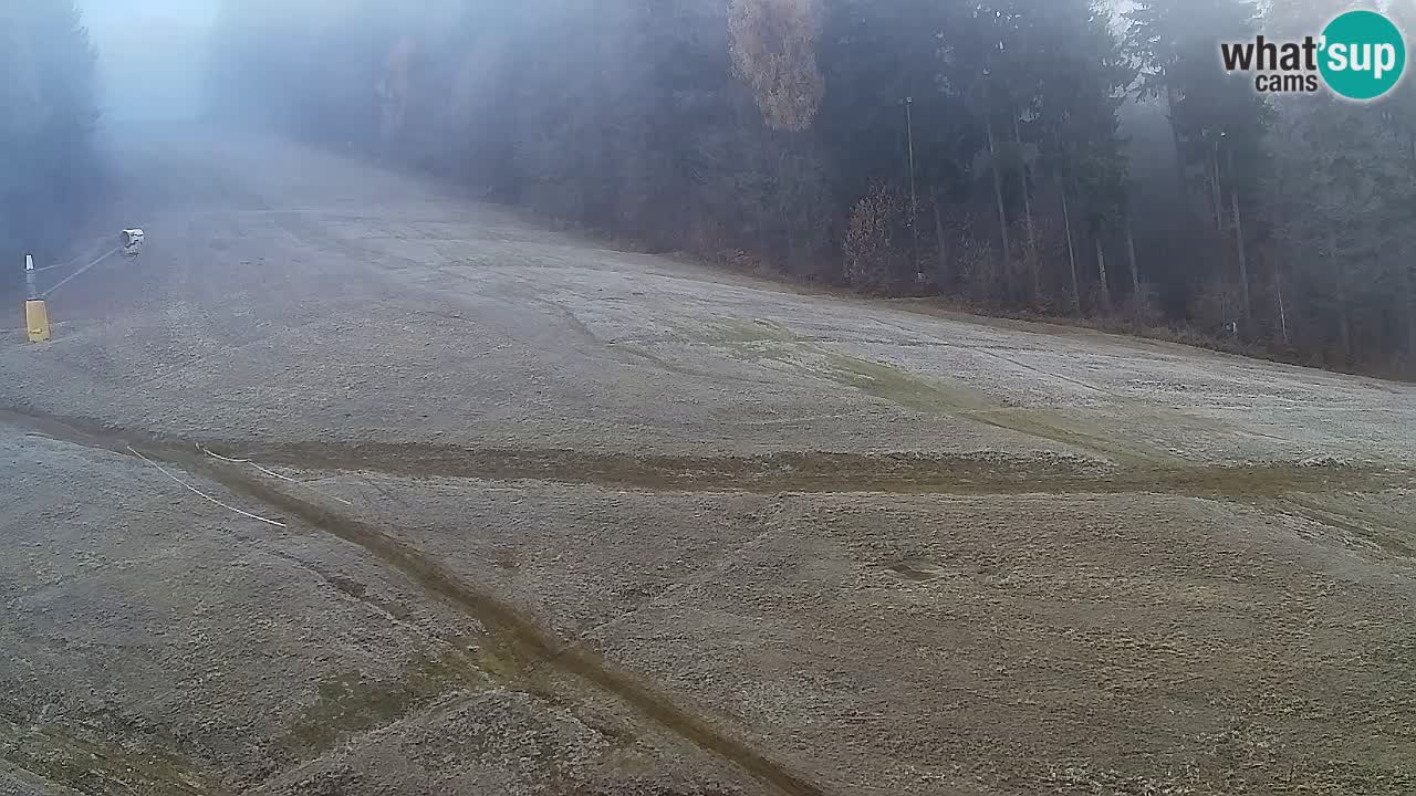 Webcam Pohorje Trikotna Jasa | Poštela