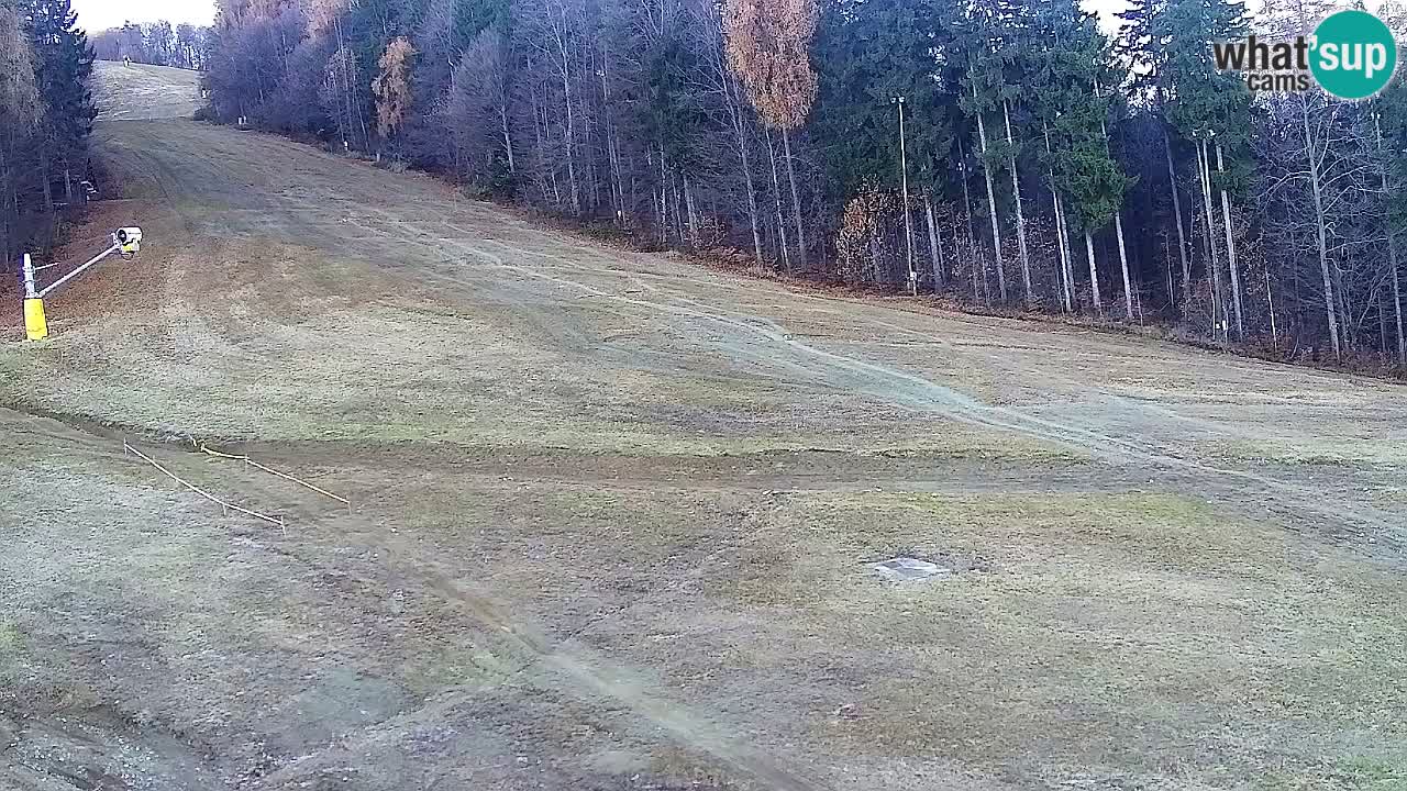 Web kamera Pohorje Trikotna Jasa | Poštela