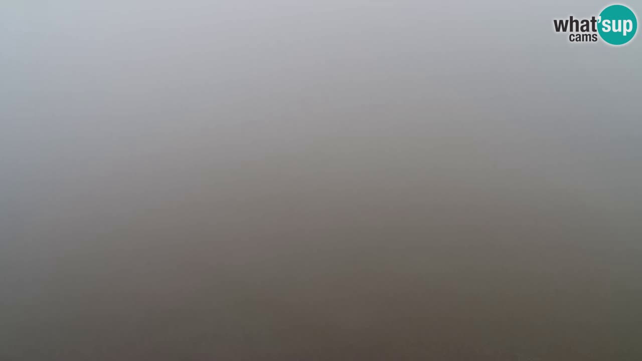 Webcam Pohorje Trikotna Jasa | Poštela