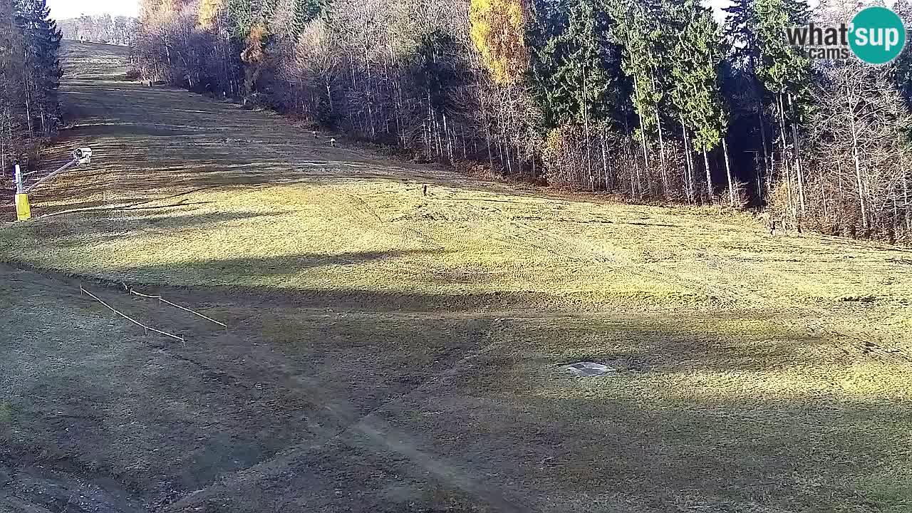 Webcam Pohorje Trikotna Jasa | Poštela
