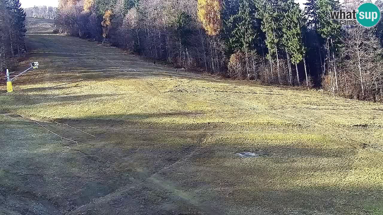 Web Camera Pohorje Trikotna Jasa | Poštela