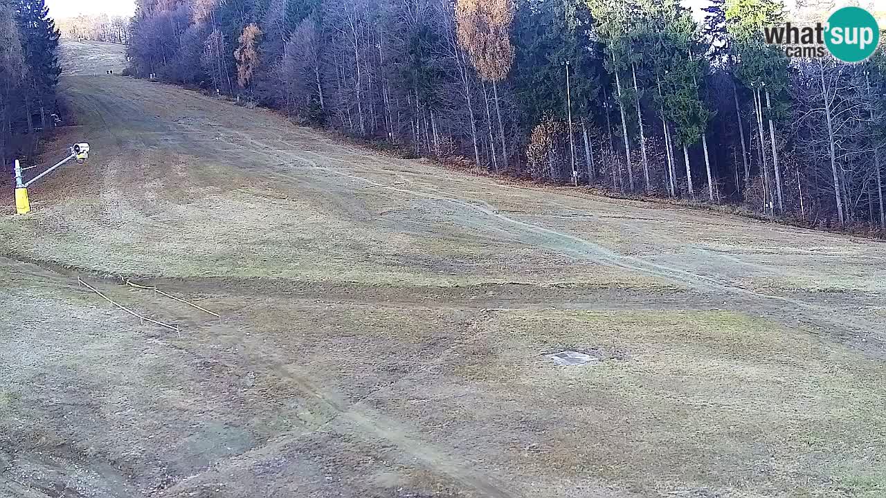 Webcam Pohorje Trikotna Jasa | Poštela