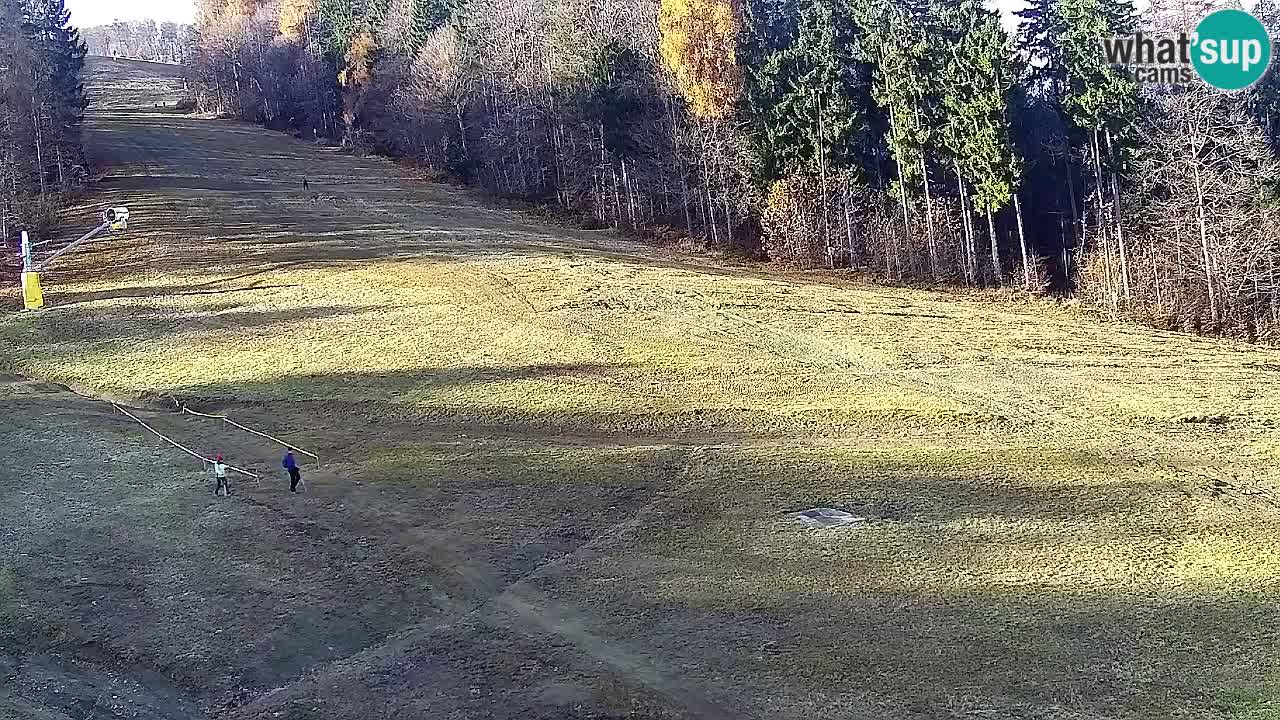 Spletna Kamera Pohorje Trikotna Jasa | Poštela