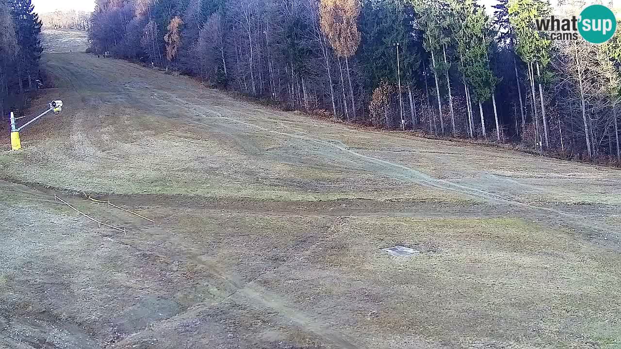 Spletna Kamera Pohorje Trikotna Jasa | Poštela
