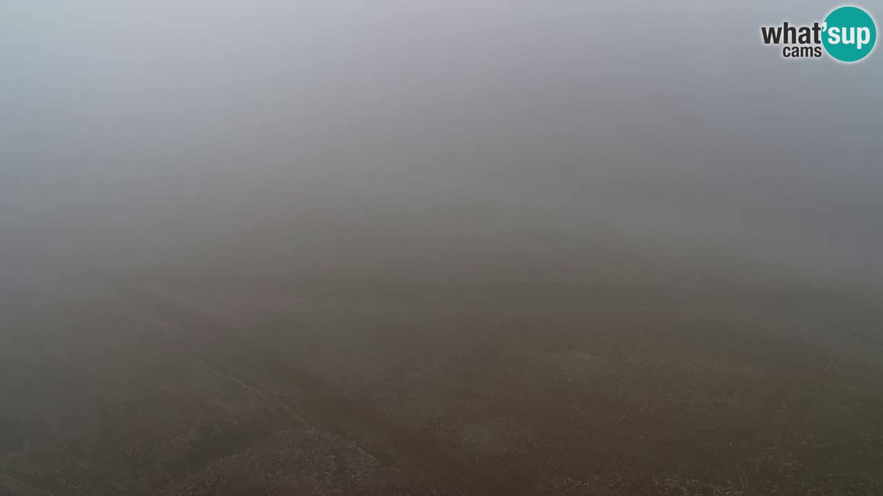 Webcam Pohorje Trikotna Jasa | Poštela