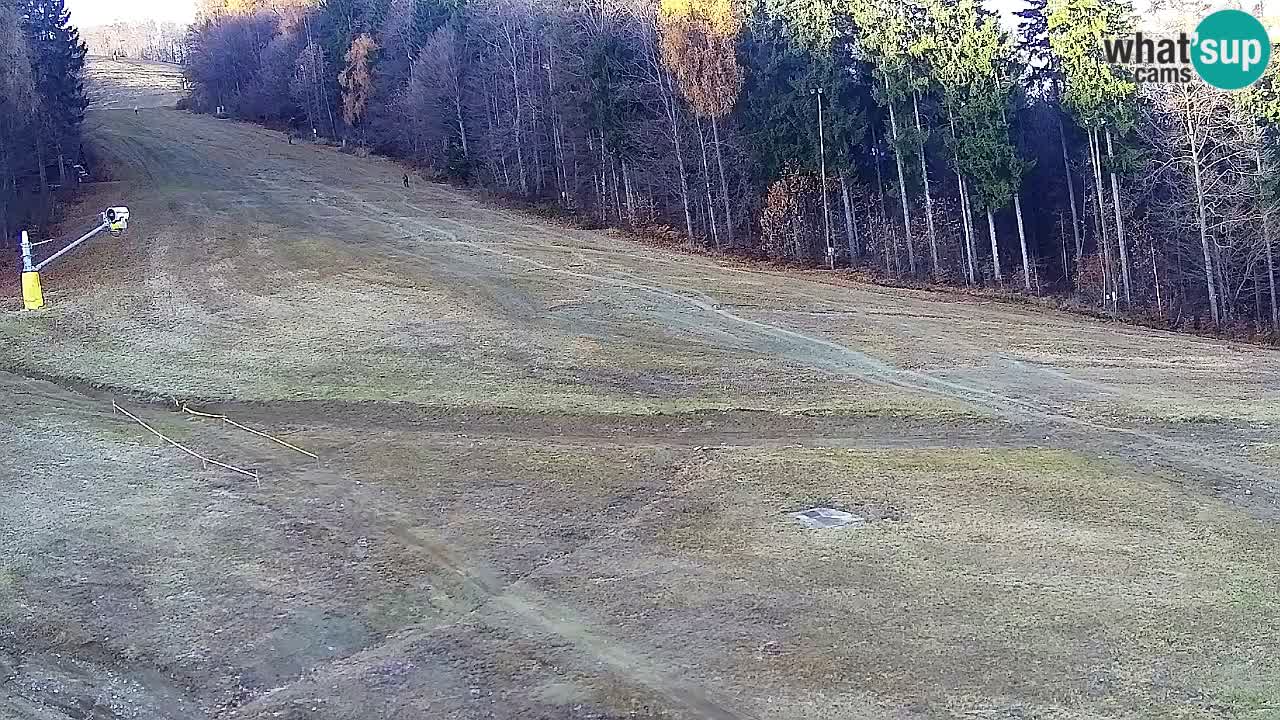 Webcam Pohorje Trikotna Jasa | Poštela