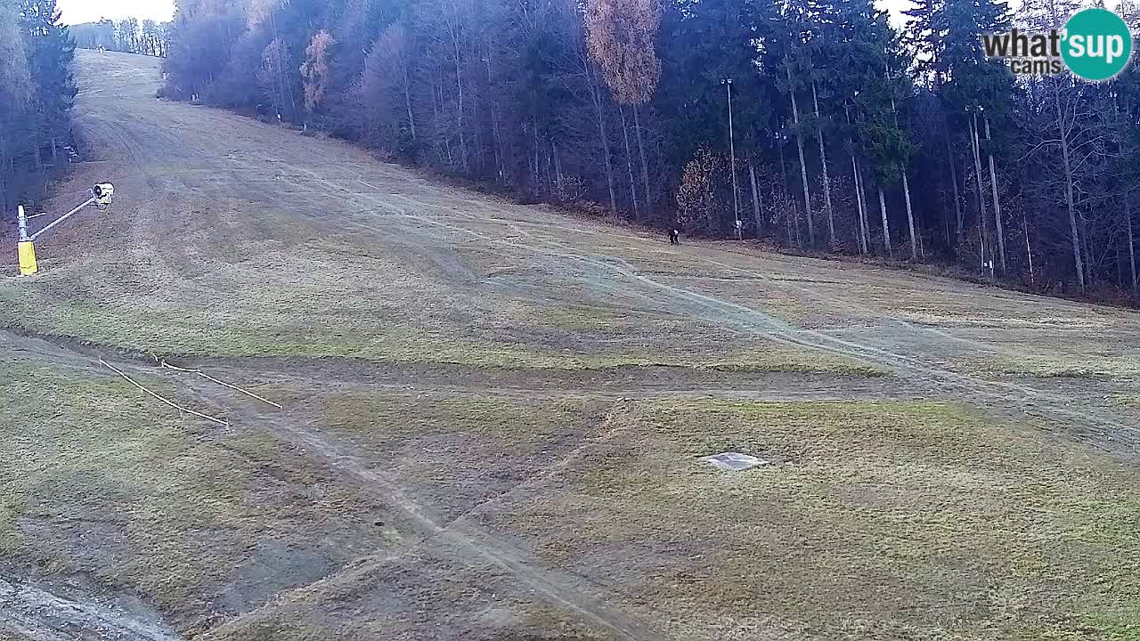 Web kamera Pohorje Trikotna Jasa | Poštela