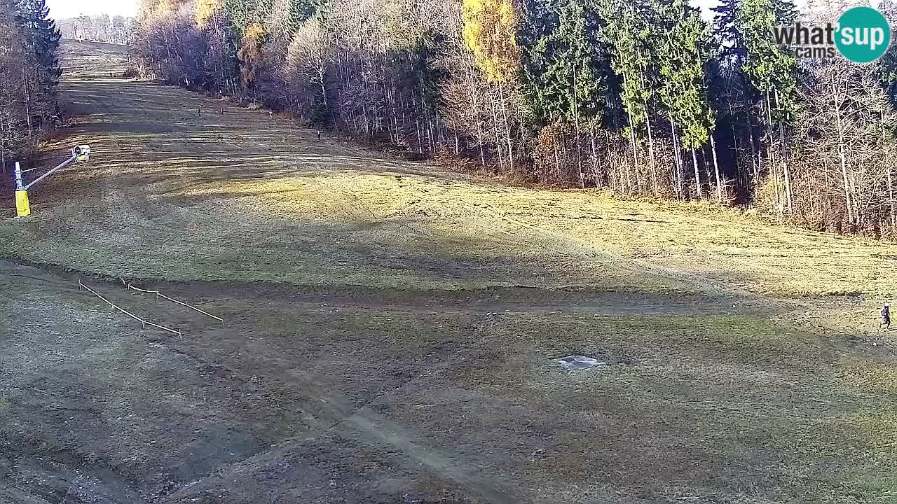 Web kamera Pohorje Trikotna Jasa | Poštela