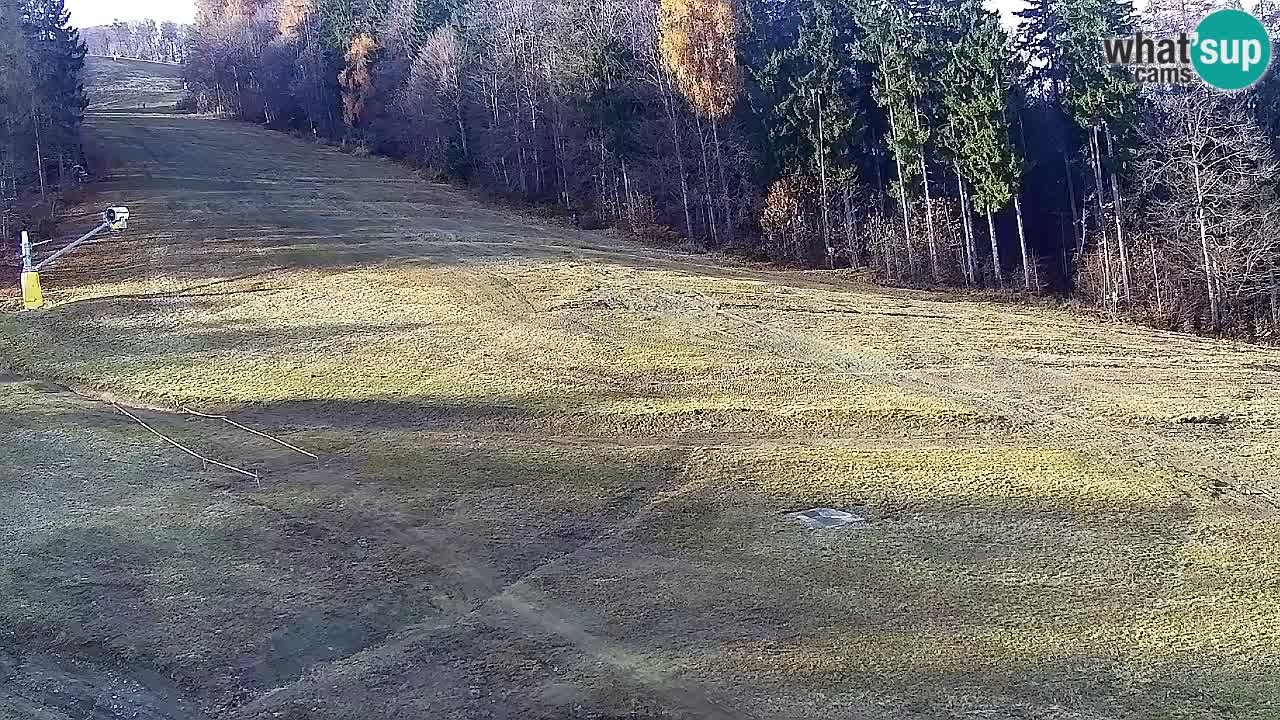 Webcam Pohorje Trikotna Jasa | Poštela