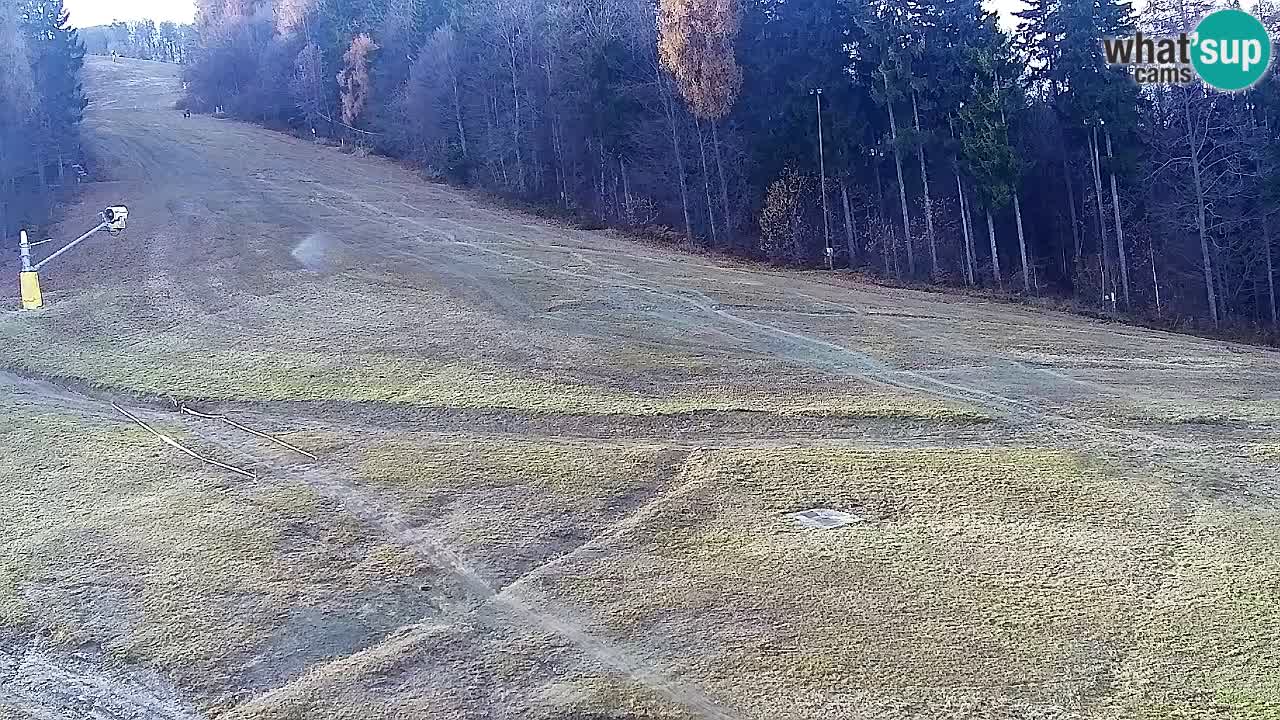 Webcam Pohorje Trikotna Jasa | Poštela