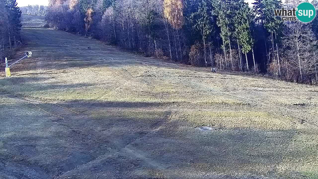 Webcam Pohorje Trikotna Jasa | Poštela