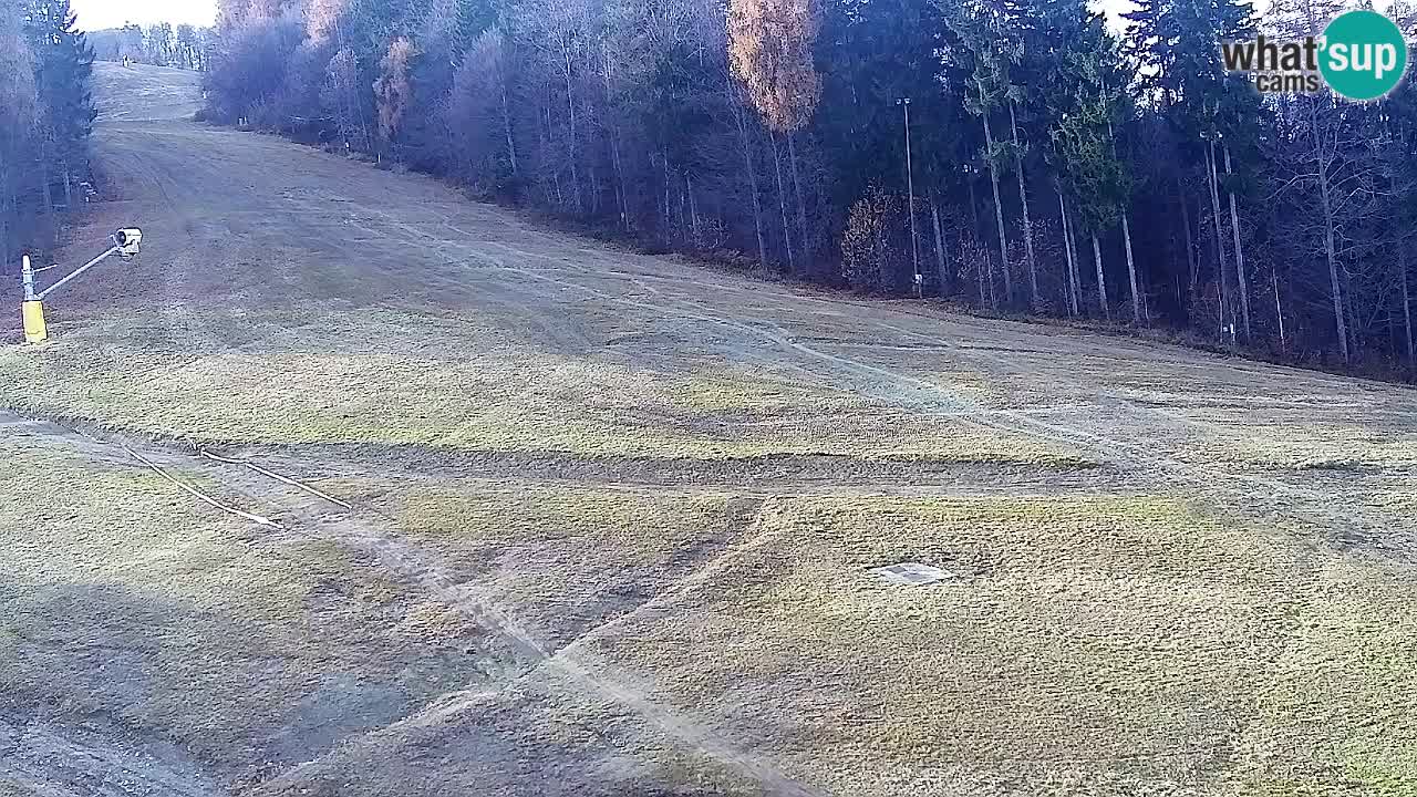 Webcam Pohorje Trikotna Jasa | Poštela