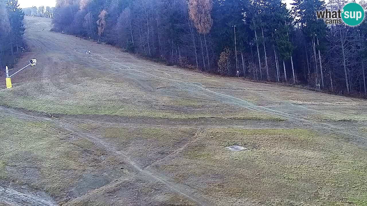 Web Camera Pohorje Trikotna Jasa | Poštela