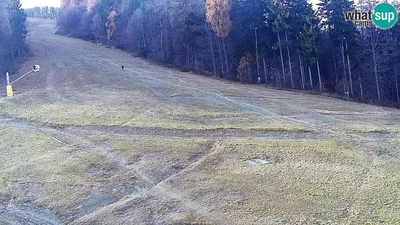 Webcam Pohorje Trikotna Jasa | Poštela