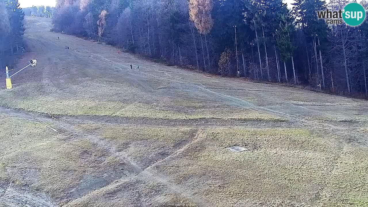 Webcam Pohorje Trikotna Jasa | Poštela