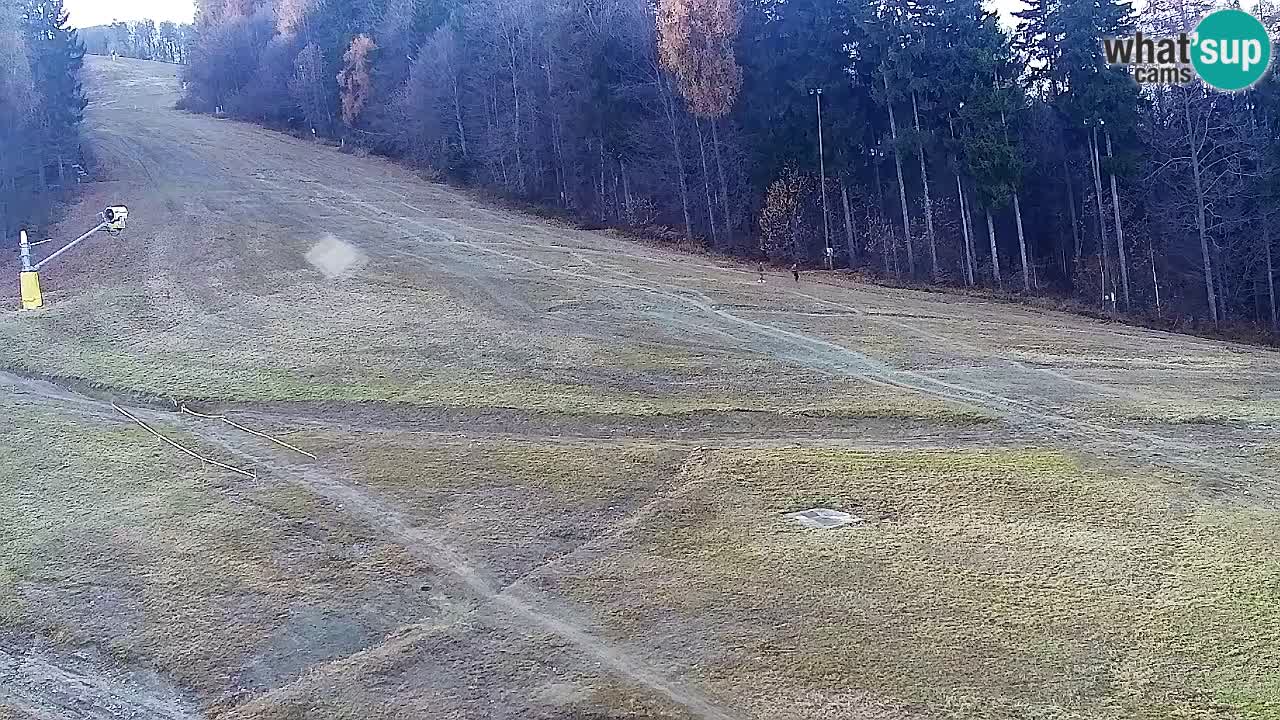 Webcam Pohorje Trikotna Jasa | Poštela
