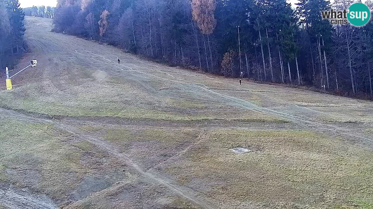 Webcam Pohorje Trikotna Jasa | Poštela