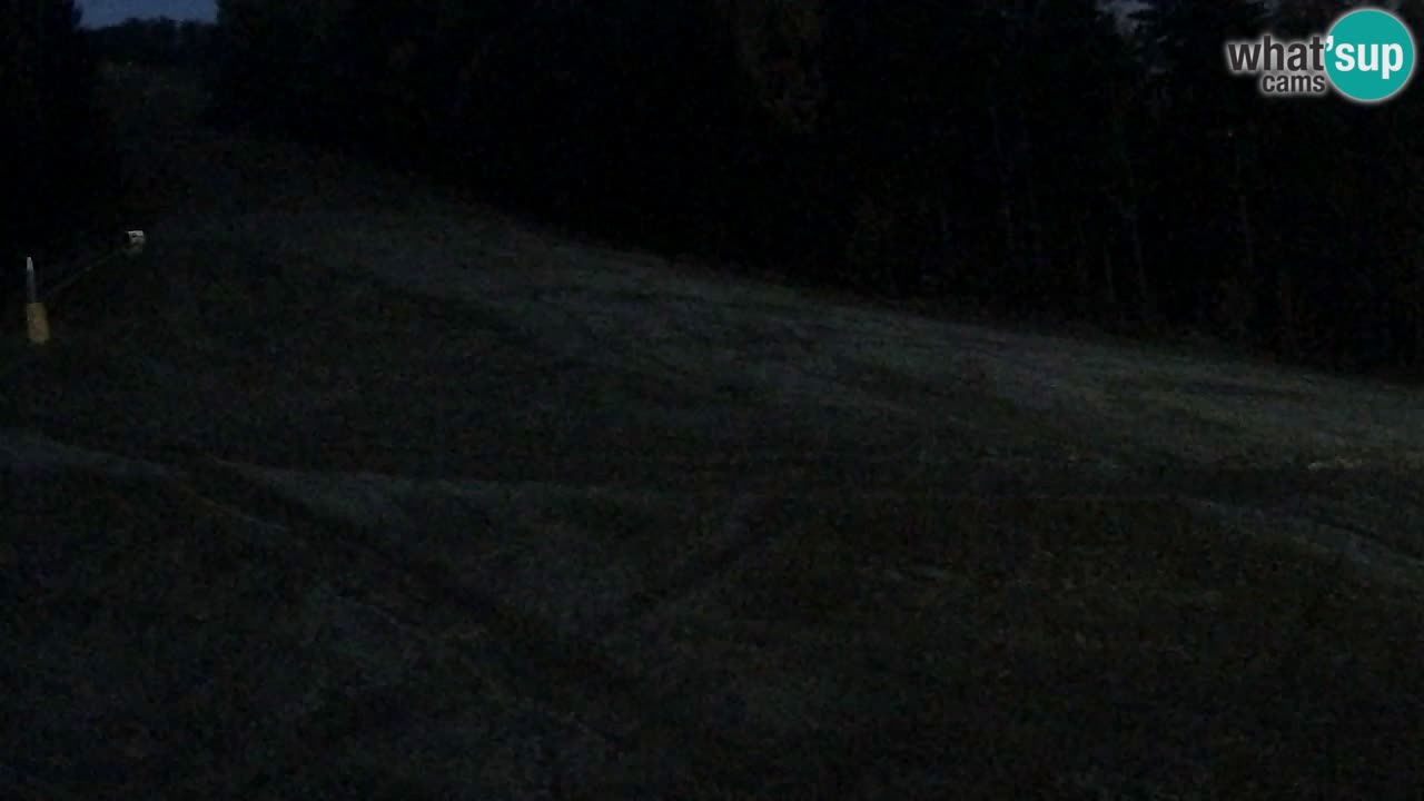 Webcam Pohorje Trikotna Jasa | Poštela