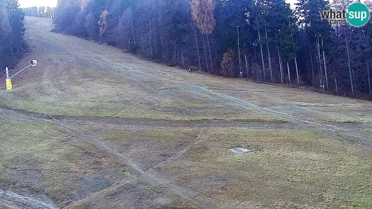 Webcam Pohorje Trikotna Jasa | Poštela