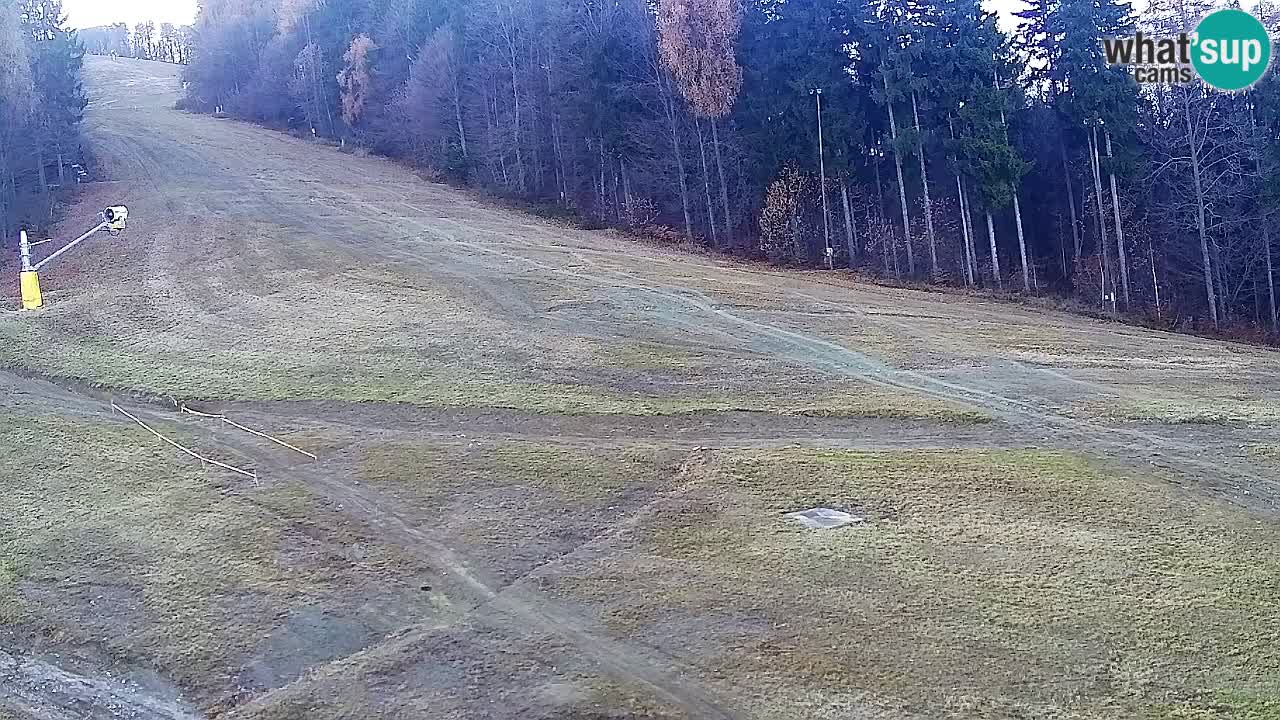 Webcam Pohorje Trikotna Jasa | Poštela