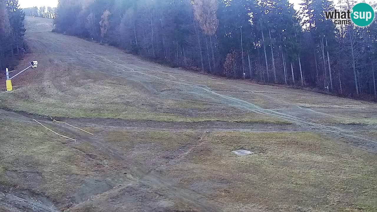 Spletna Kamera Pohorje Trikotna Jasa | Poštela