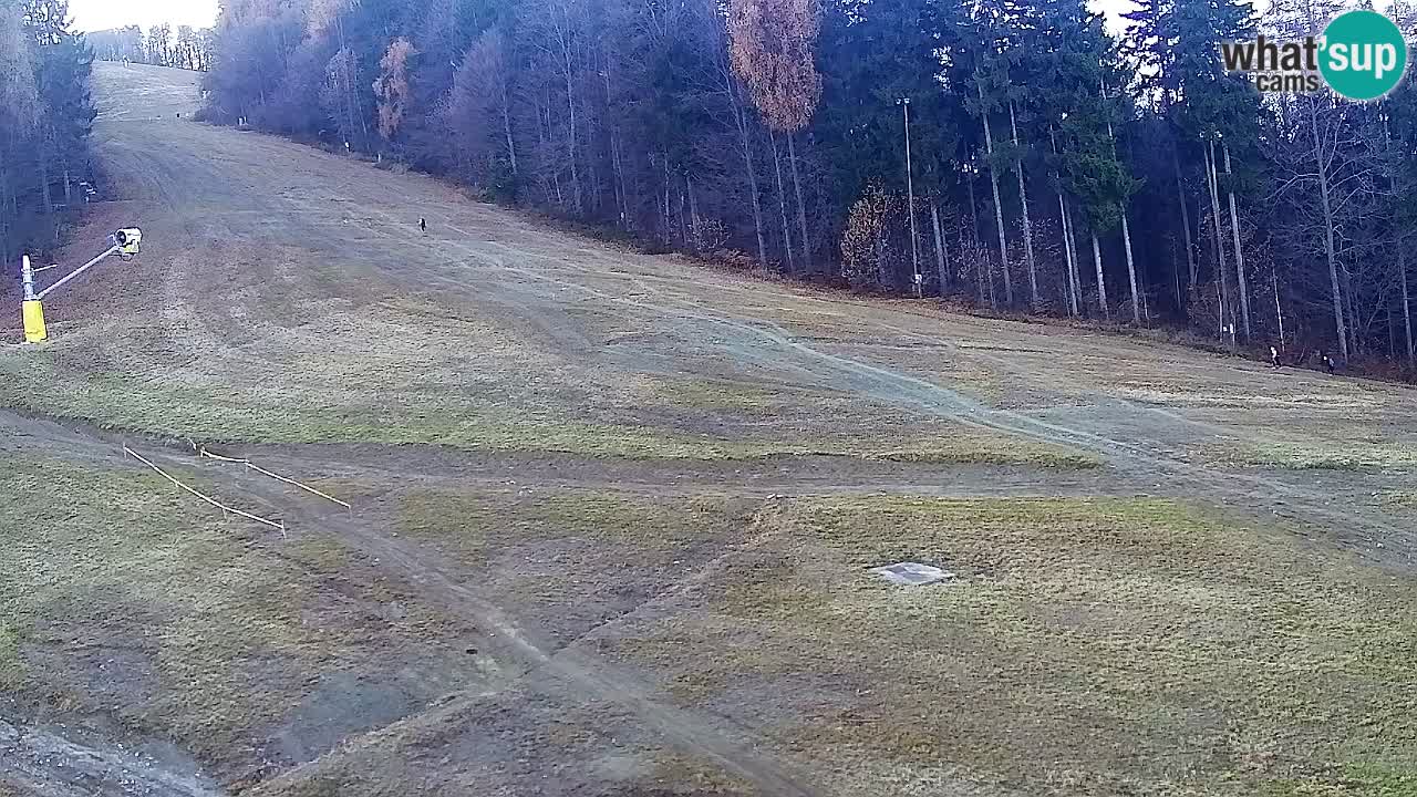 Web kamera Pohorje Trikotna Jasa | Poštela