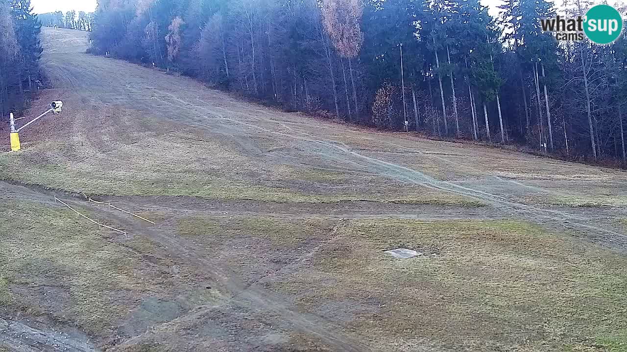 Webcam Pohorje Trikotna Jasa | Poštela