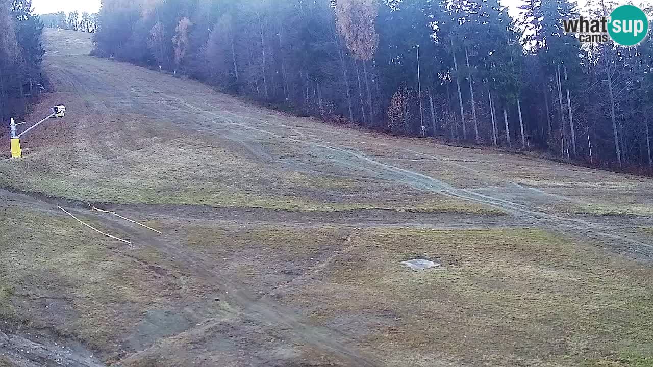 Webcam Pohorje Trikotna Jasa | Poštela