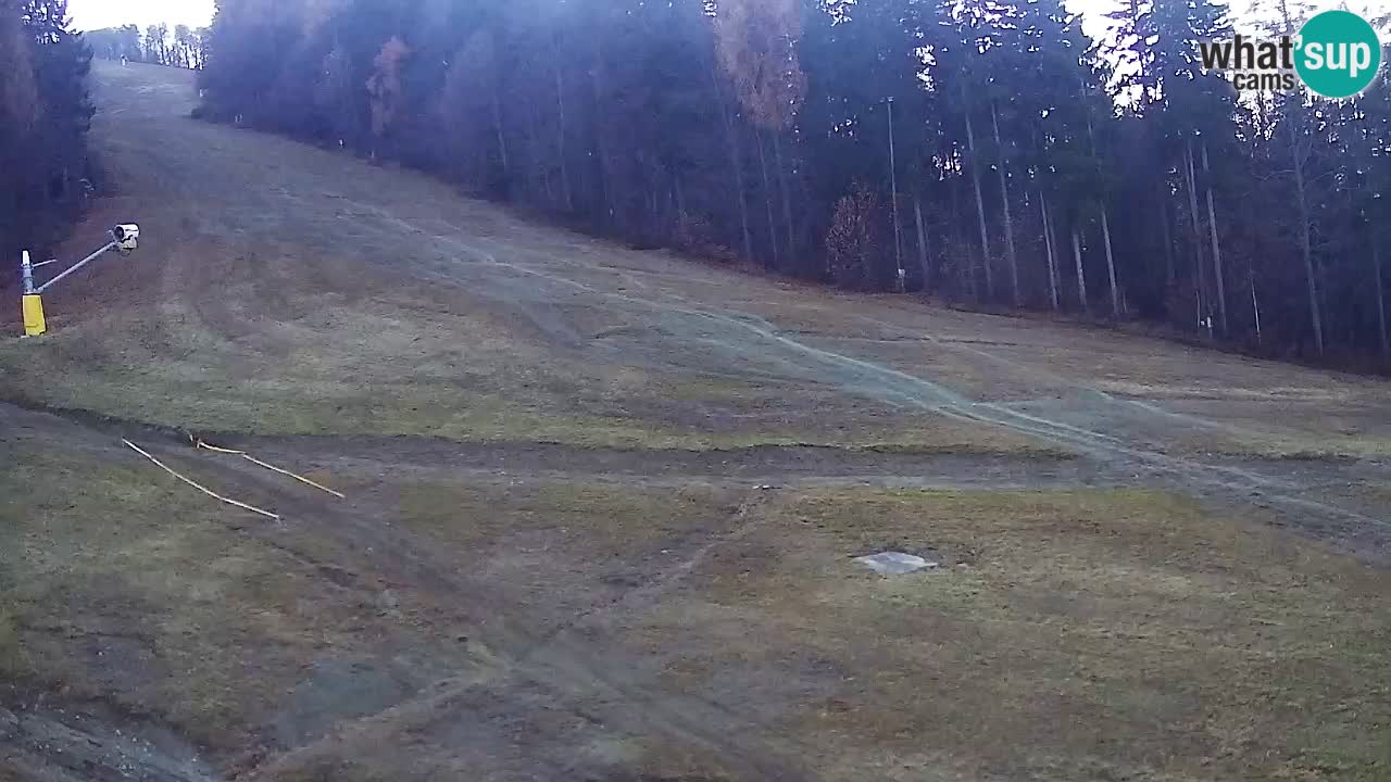 Web kamera Pohorje Trikotna Jasa | Poštela