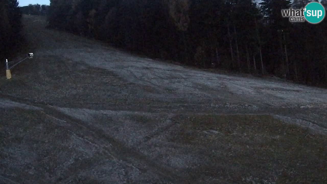 Webcam Pohorje Trikotna Jasa | Poštela