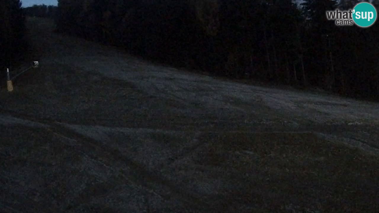 Webcam Pohorje Trikotna Jasa | Poštela