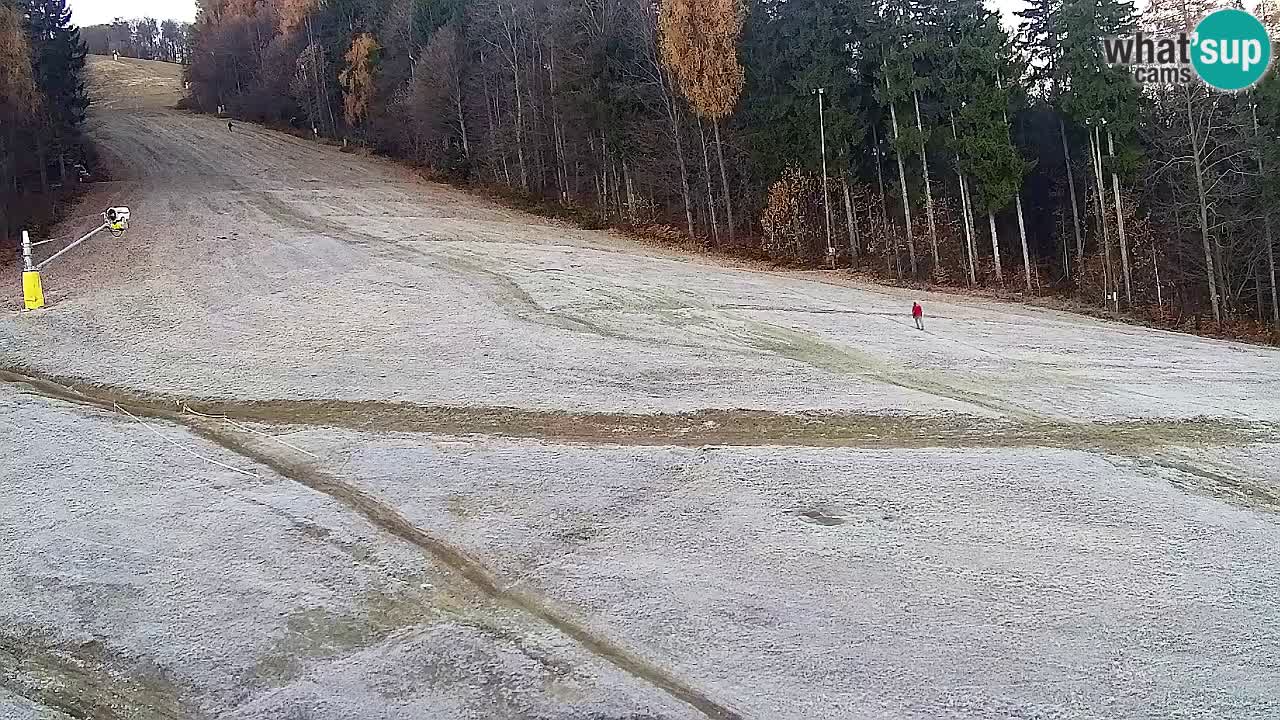 Webcam Pohorje Trikotna Jasa | Poštela