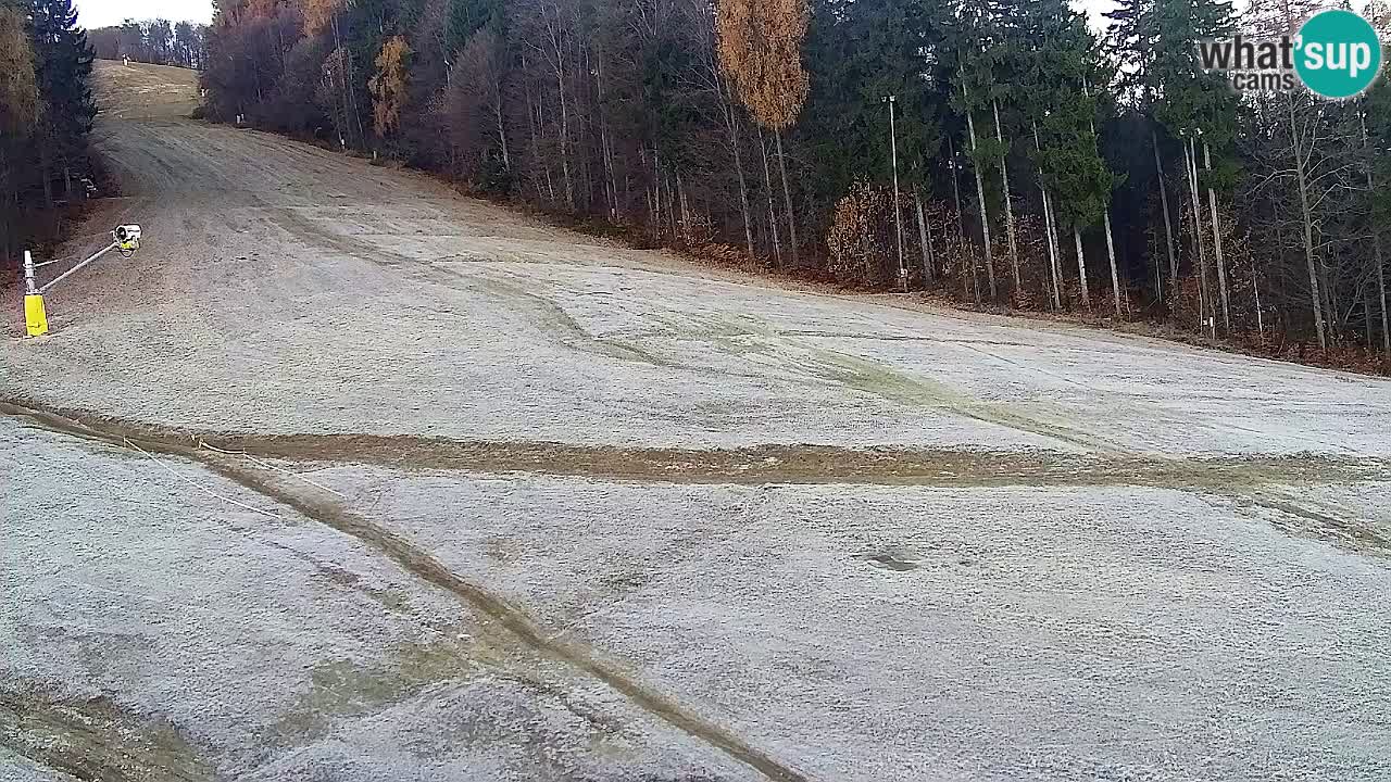 Webcam Pohorje Trikotna Jasa | Poštela