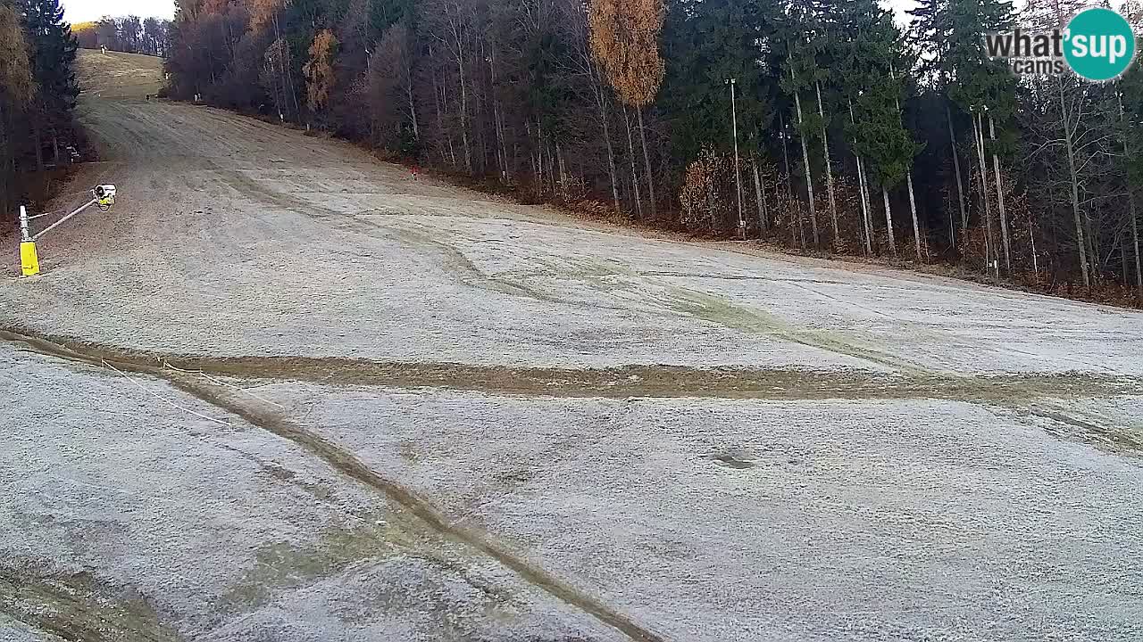 Webcam Pohorje Trikotna Jasa | Poštela
