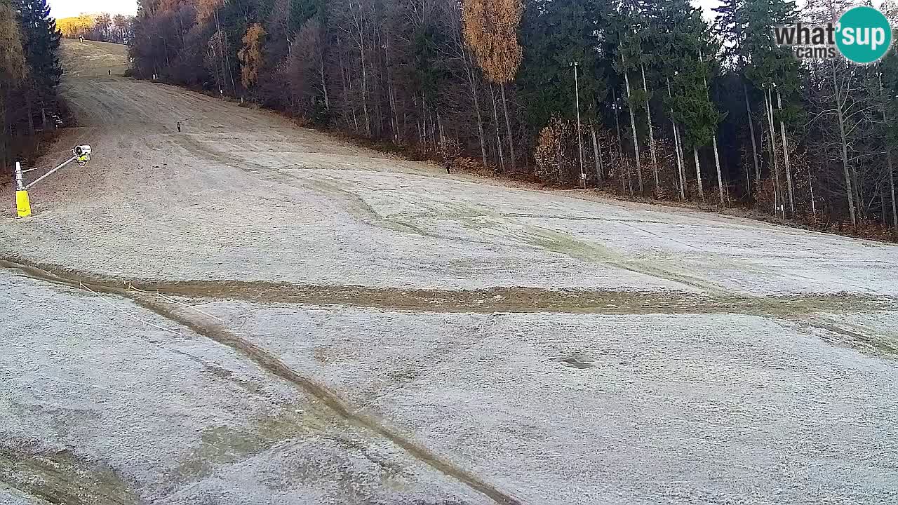 Webcam Pohorje Trikotna Jasa | Poštela