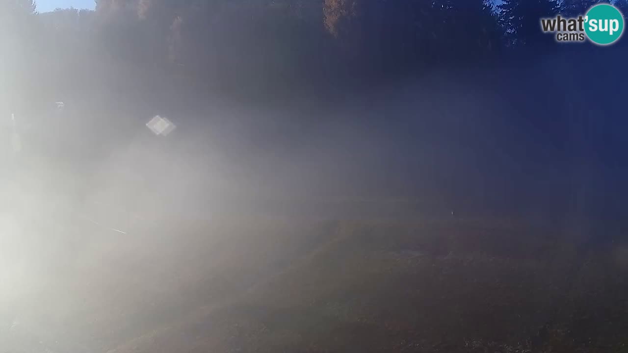 Web Camera Pohorje Trikotna Jasa | Poštela