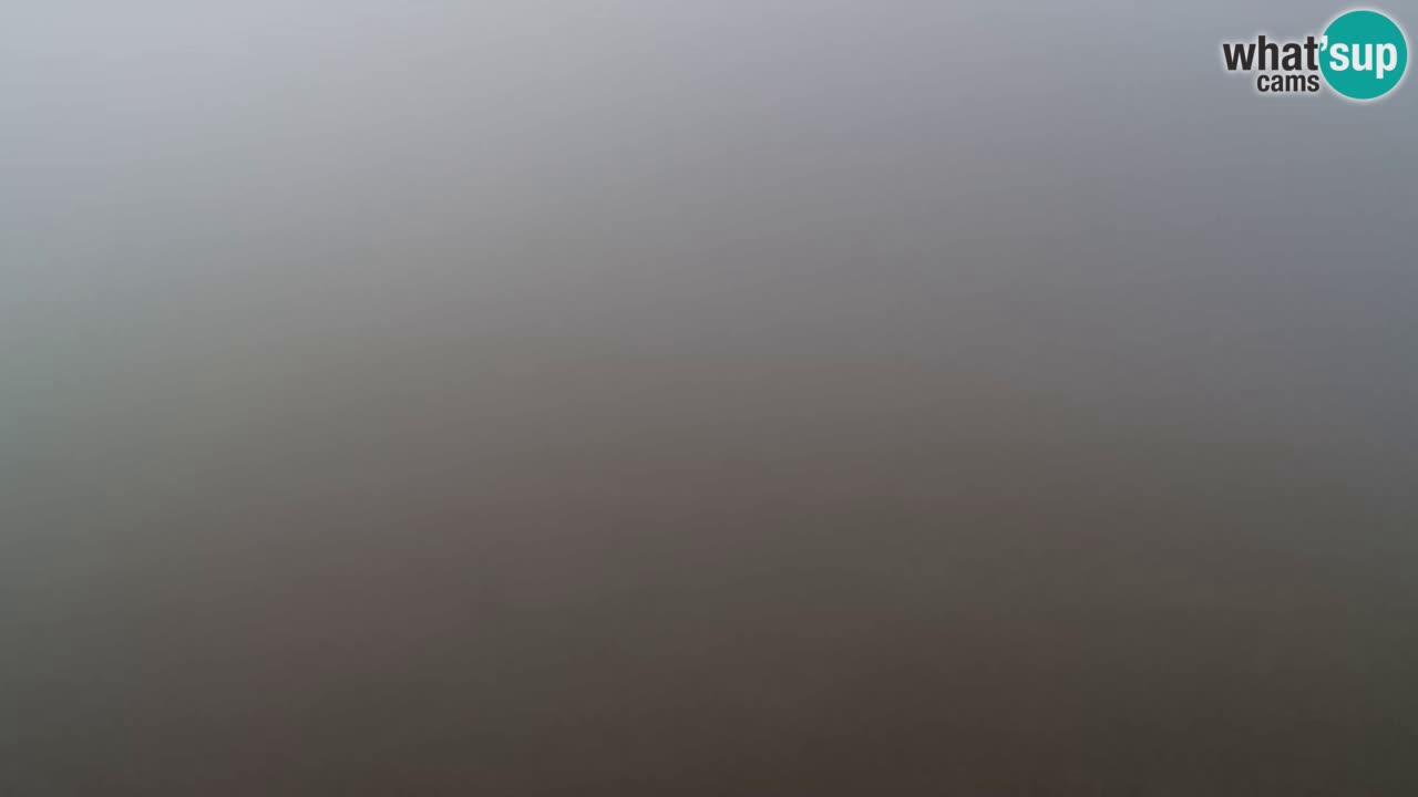 Webcam Pohorje Trikotna Jasa | Poštela