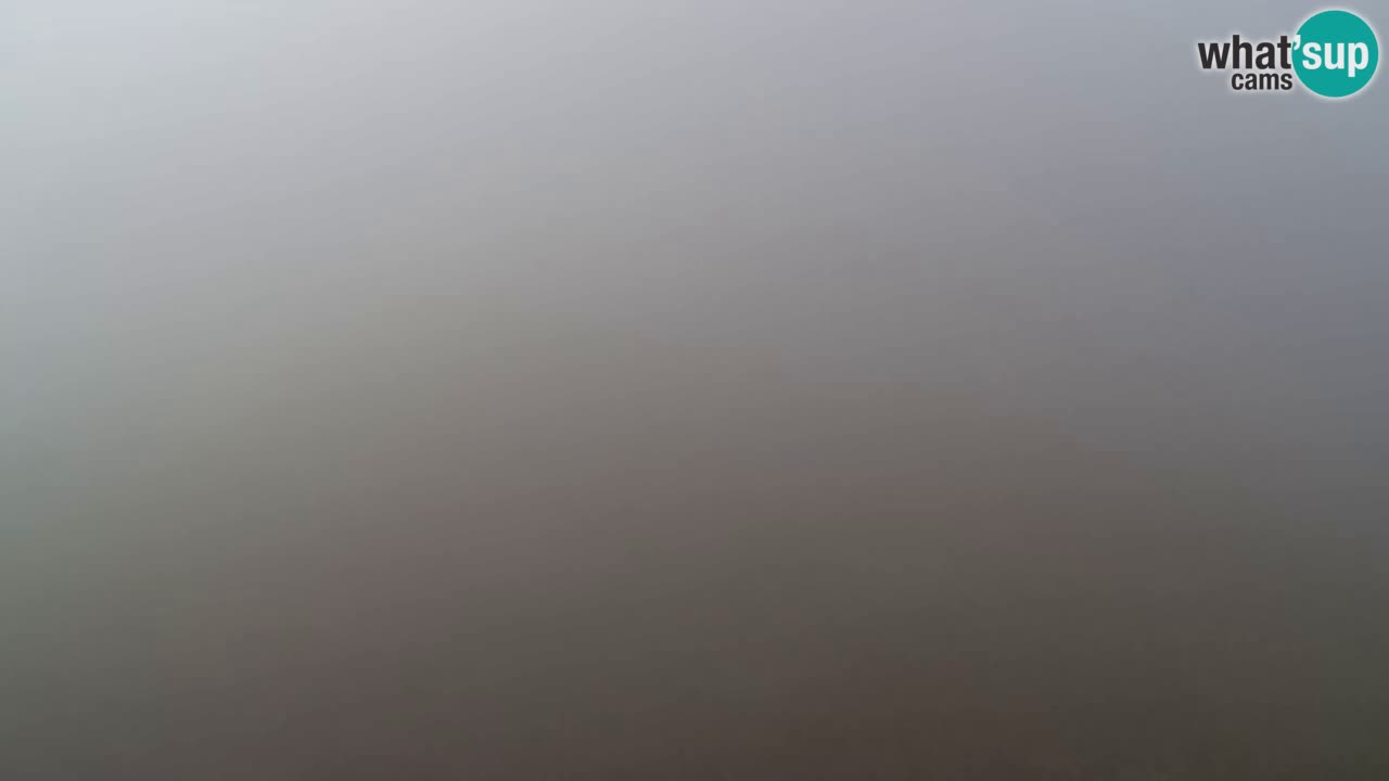 Webcam Pohorje Trikotna Jasa | Poštela