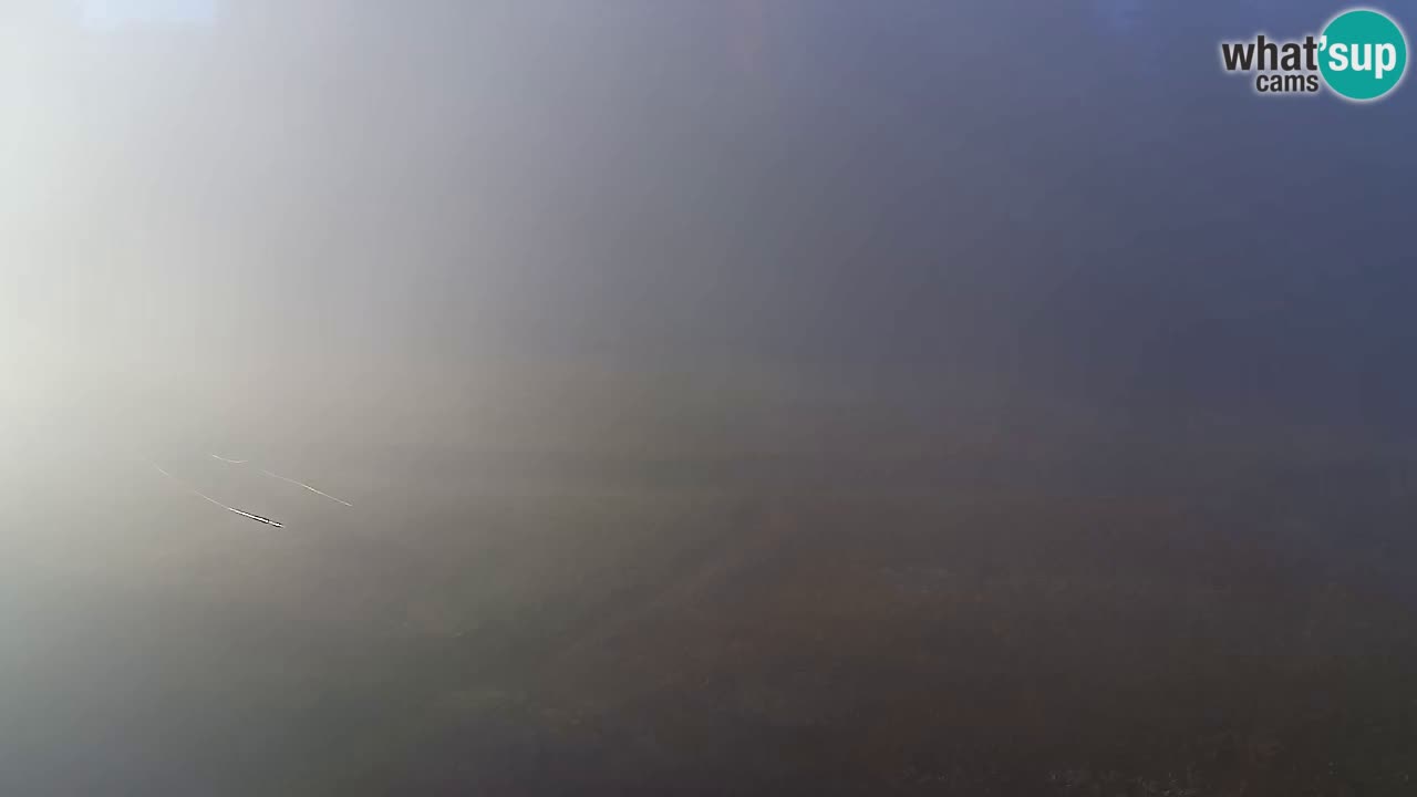 Web Camera Pohorje Trikotna Jasa | Poštela