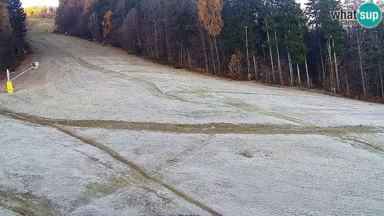 Webcam Pohorje Trikotna Jasa | Poštela