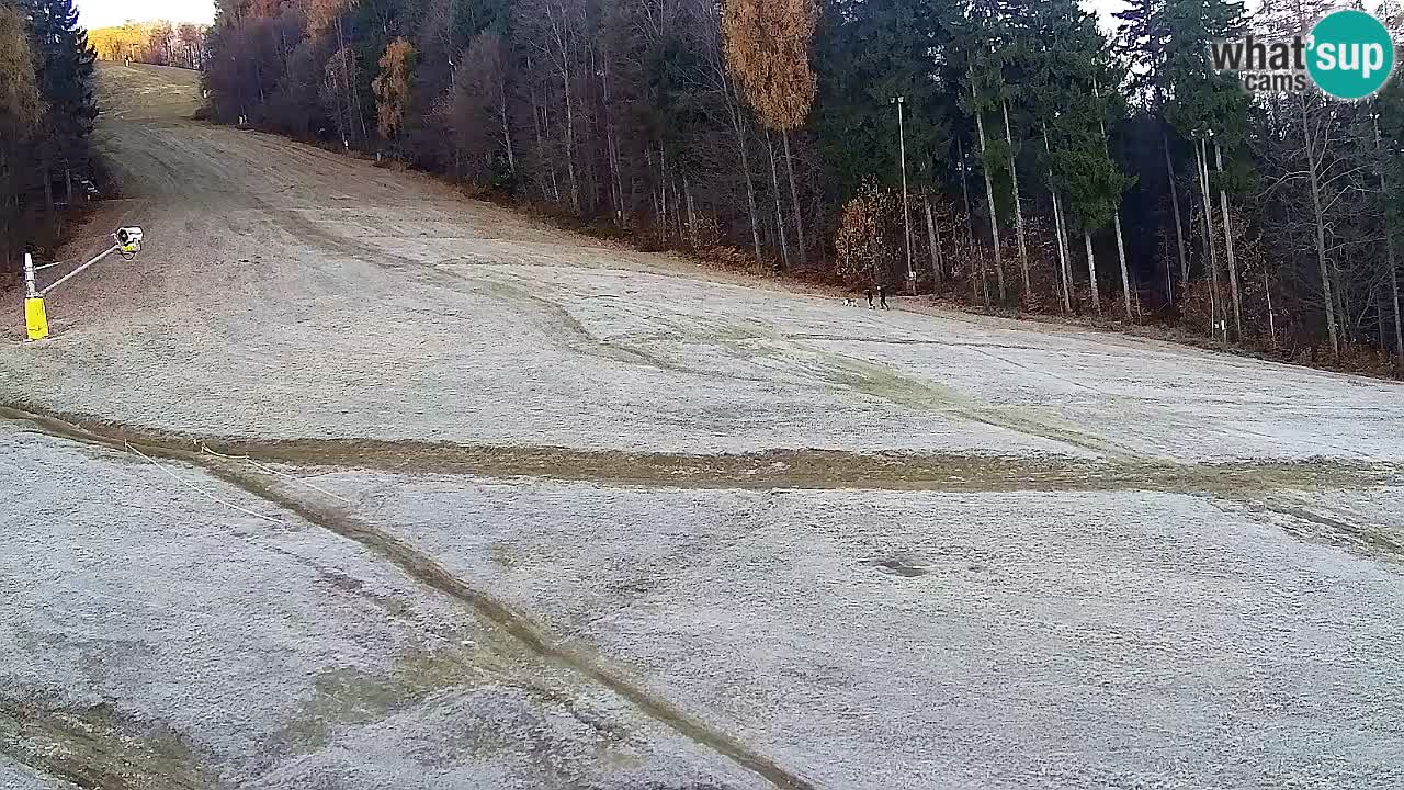 Spletna Kamera Pohorje Trikotna Jasa | Poštela