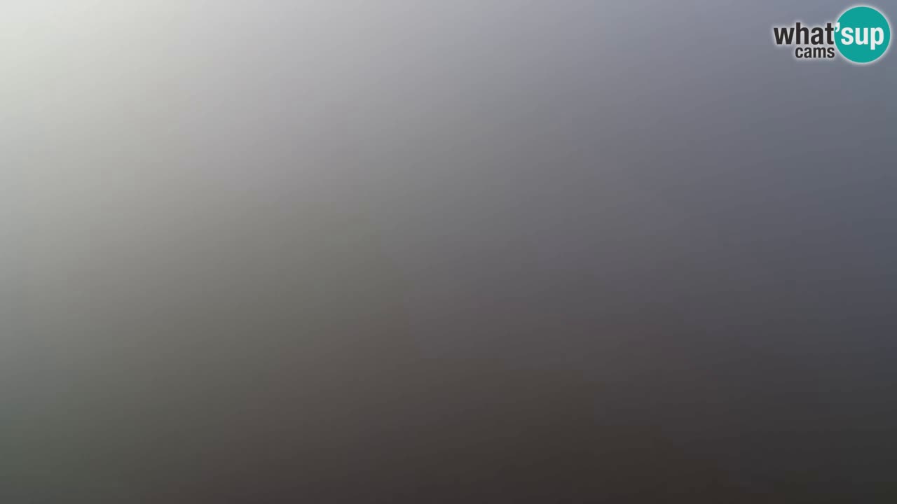 Webcam Pohorje Trikotna Jasa | Poštela