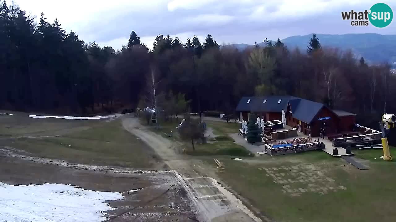 Webcam Pohorje Trikotna Jasa | Poštela