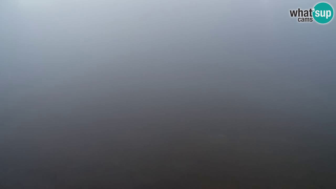 Webcam Pohorje Trikotna Jasa | Poštela