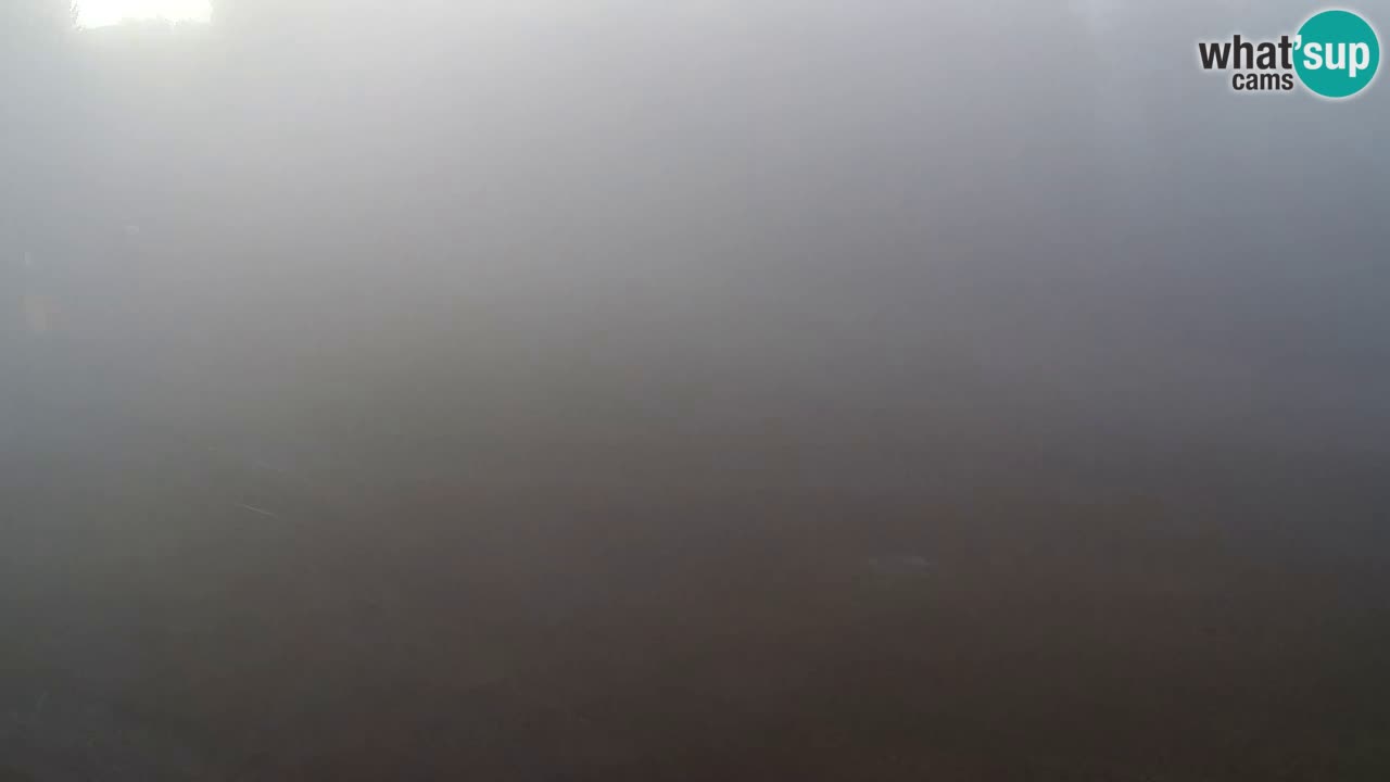 Web kamera Pohorje Trikotna Jasa | Poštela