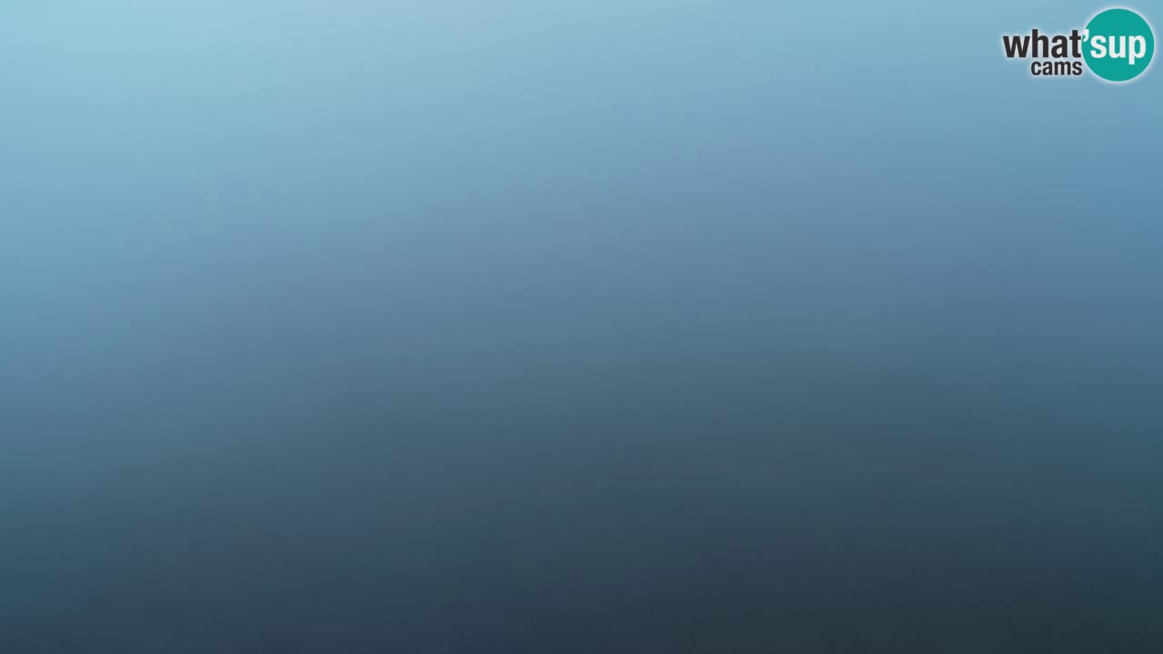 Web Camera Pohorje Trikotna Jasa | Poštela