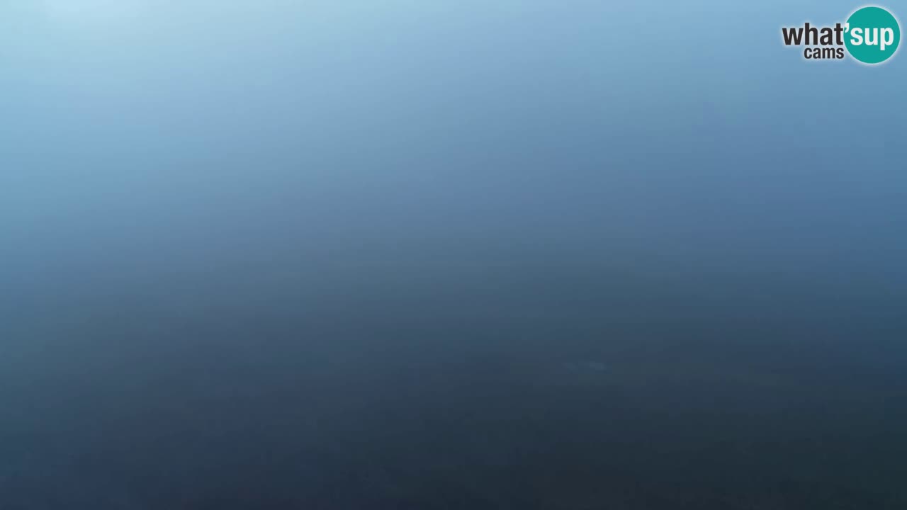 Webcam Pohorje Trikotna Jasa | Poštela