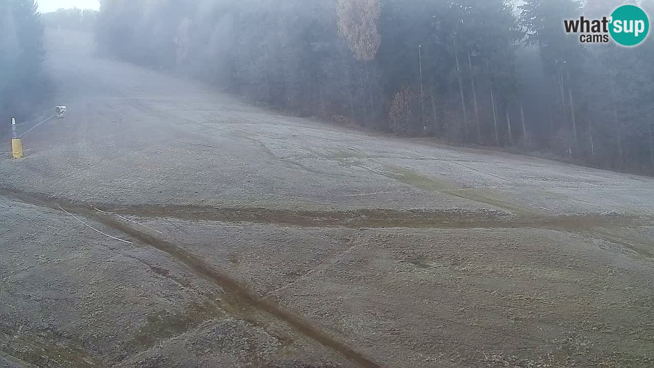 Webcam Pohorje Trikotna Jasa | Poštela