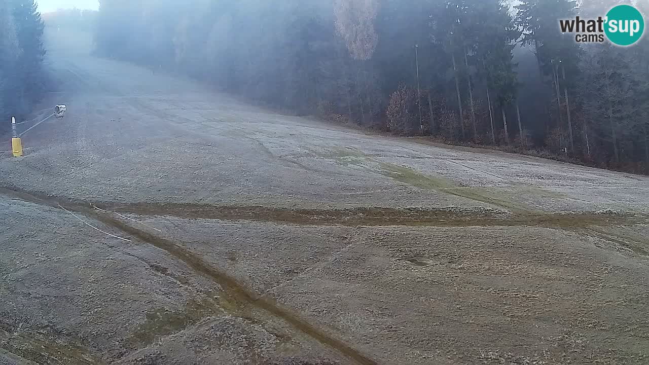 Webcam Pohorje Trikotna Jasa | Poštela